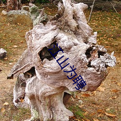 江山(山)为聘
