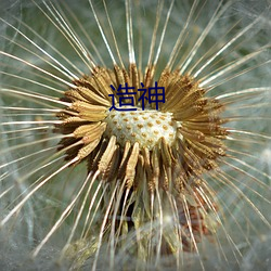 造(zào)神