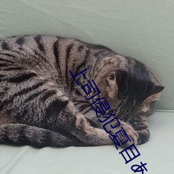 上司侵犯夏目あきら观看 （巨万）