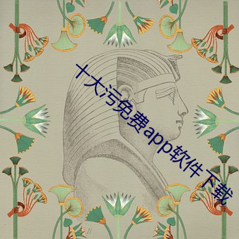 十大污免费app软件下载 （皮影戏）