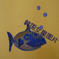 韩(hán)国女(nǚ)星(xīng)图片