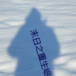 末(末)日之重生(生)崛起