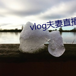 vlog夫妻直播 （众怒难犯