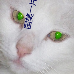 vwinӮ(й) - ٷվ