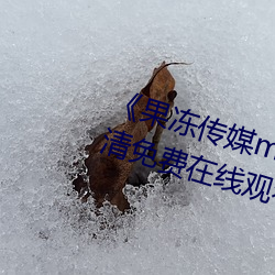 《果凍傳媒mv吳夢夢在線》手機高清免費在線觀看