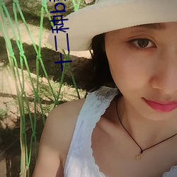 十二種b型圖片