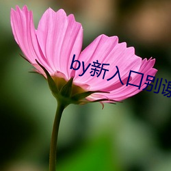 by新入口(kǒu)别谢(xiè)我