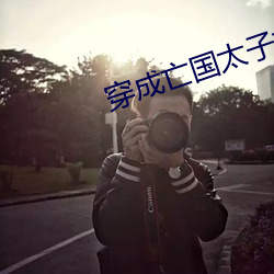 穿成亡國太子妃