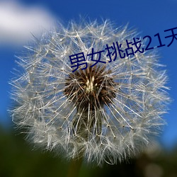 男女挑战21天(tiān)荒野求生(shēng)