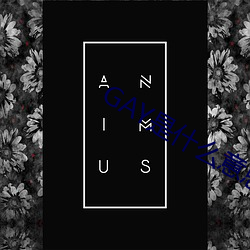 vwinӮ(й) - ٷվ