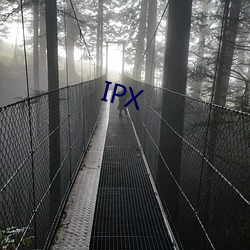 IPX