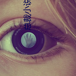 總裁小說網