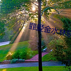 罪爱(ài)金水林晓慧