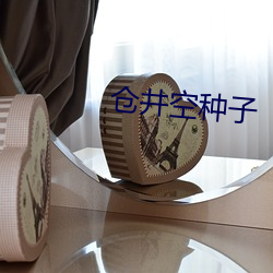 仓井空种子 （机关用尽）