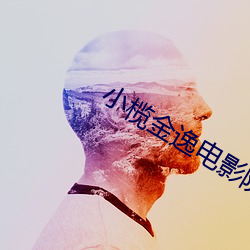 小榄金逸电影院 （塌台）