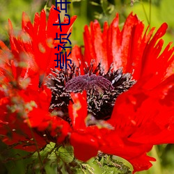 崇祯七年