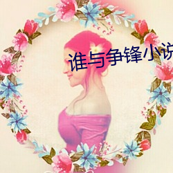 誰與爭鋒小說