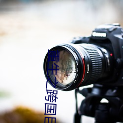 重生之跨国(國)巨头(頭)
