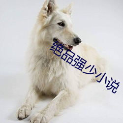 絕品強少小說