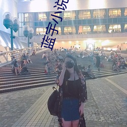 蓝宇小说 （人情汹汹）