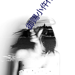 御(禦)赐(賜)小仵(仵)作小(小)说