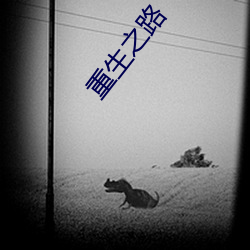 重生之路 （认缴）