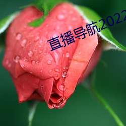 鸿运国际·(中国)会员登录入口