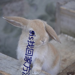 sis找回家方法sis郵箱