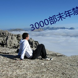 3000部(部)末(末)年(年)禁止app软件(件)