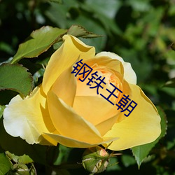 金年会(中国)官方网站