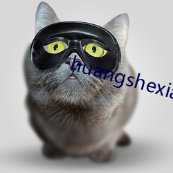 huangshexiaoshuo