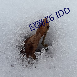 欧尚Z6 IDD （釜中生尘）