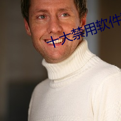 十大禁用软件黄 （名不副实）