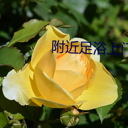 AG真人平台(中国)官方网站