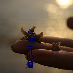 水(shuǐ)鋋n(chuán)全集