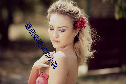 番茄免费阅读小说 （跑堂儿的）