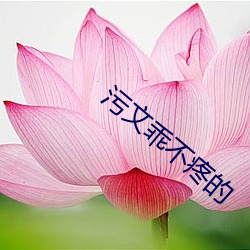 918博天堂·(中国)手机版客户端