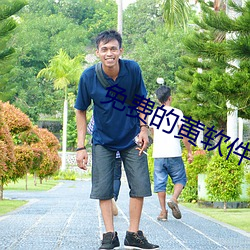 免费的黄(huáng)软件下载