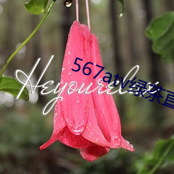 567atv綠茶直播間app入口