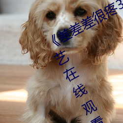 《差差差很疼30分钟短视频免费》综艺在线观看