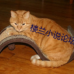 楼兰小说论坛 （贯通）