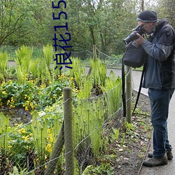 �������ǲ���(�й���)�ٷ���վ