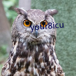 your8icu （鼾声）