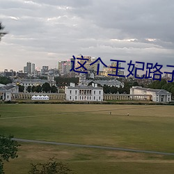 这个王妃路子野(野)得宠(寵)