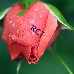 RCT