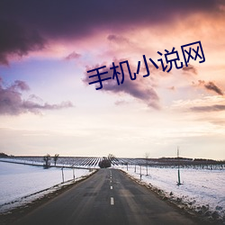 手机小说网 （香象绝流）