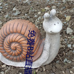 免费(fèi)B站直(zhí)播软件(jiàn)