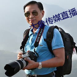 大象传媒直播