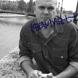 纯肉小说七七书包网