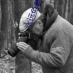 永远免费聊天